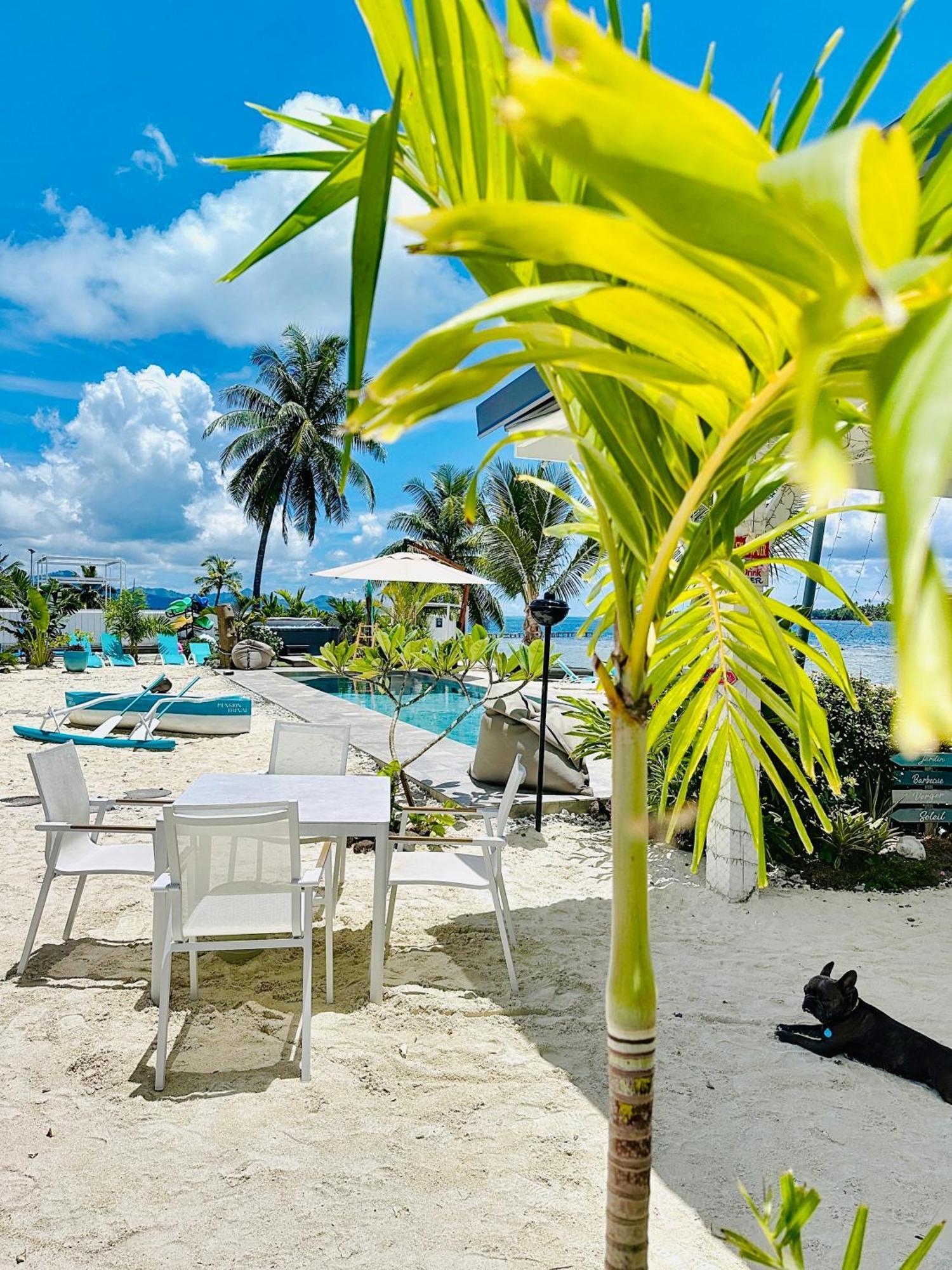 Pension Irivai, Appartement Uo Uo 3 Chambres Vue Mer Uturoa Exteriér fotografie